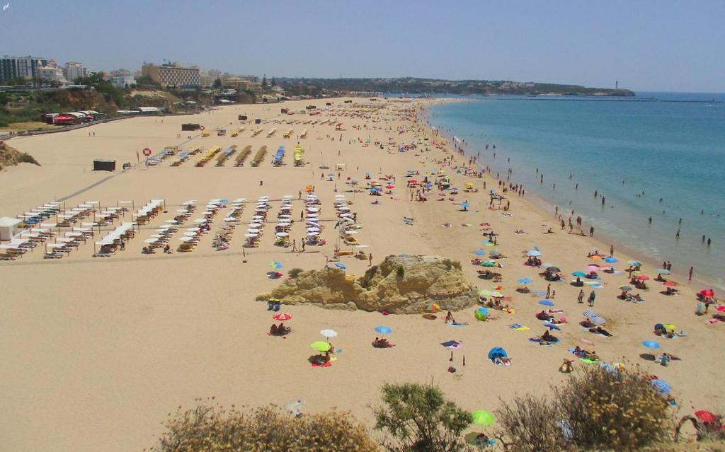 Rocha Gardens * Portimao